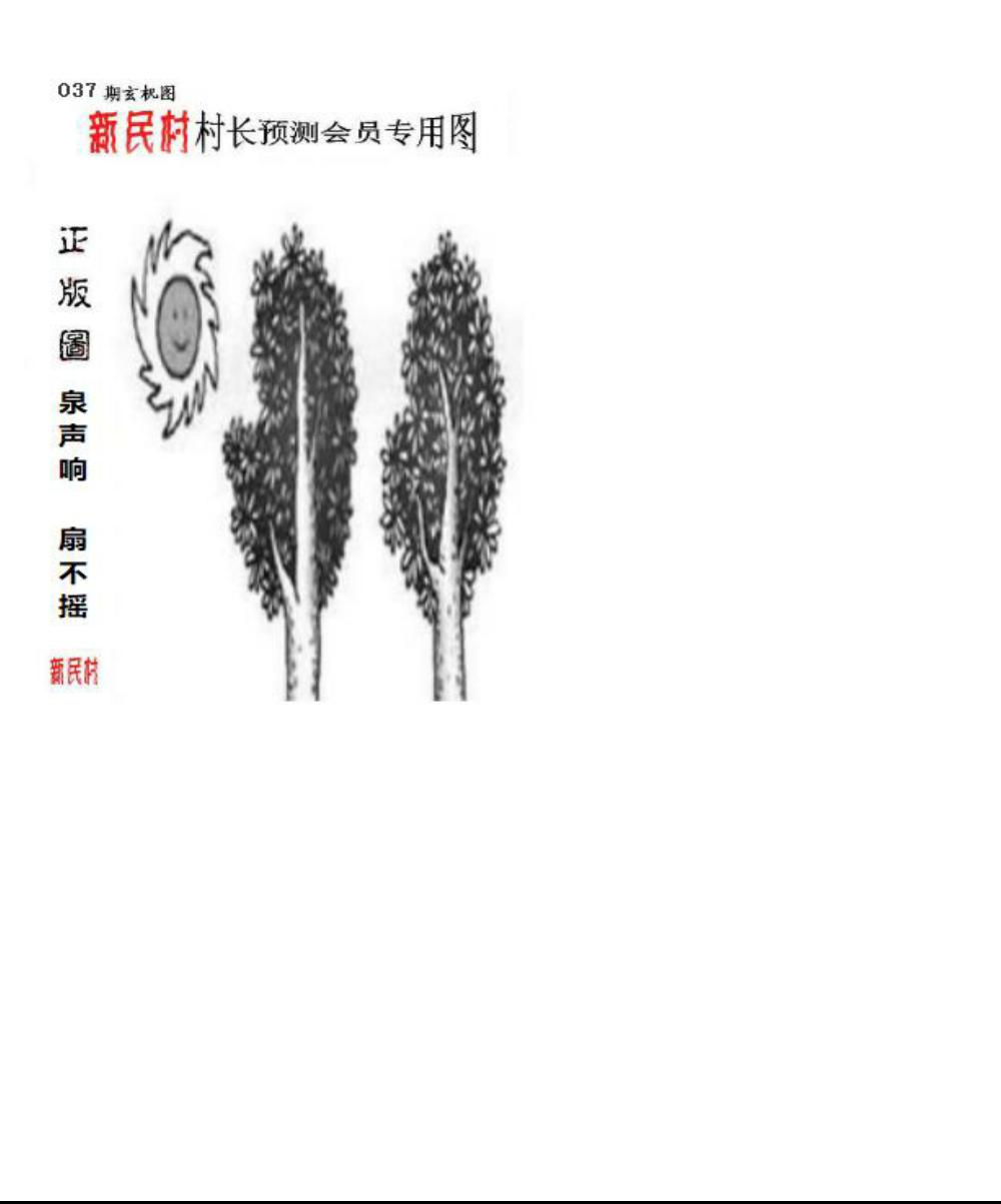 正版新民村村长预测图